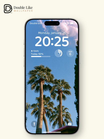 California Palm Trees Low Angle Summer Blue Sky Aesthetic Wallpaper Pack [#JJ1372]