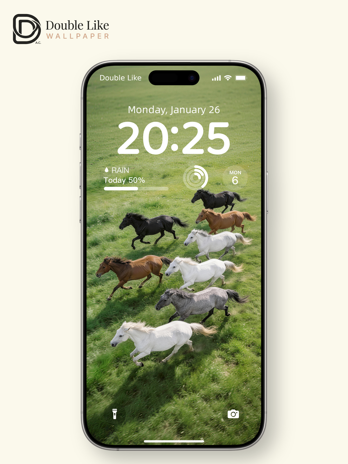 Galloping Herd Horses Inspirational Grassland Wallpaper Pack [#LFHL30123]