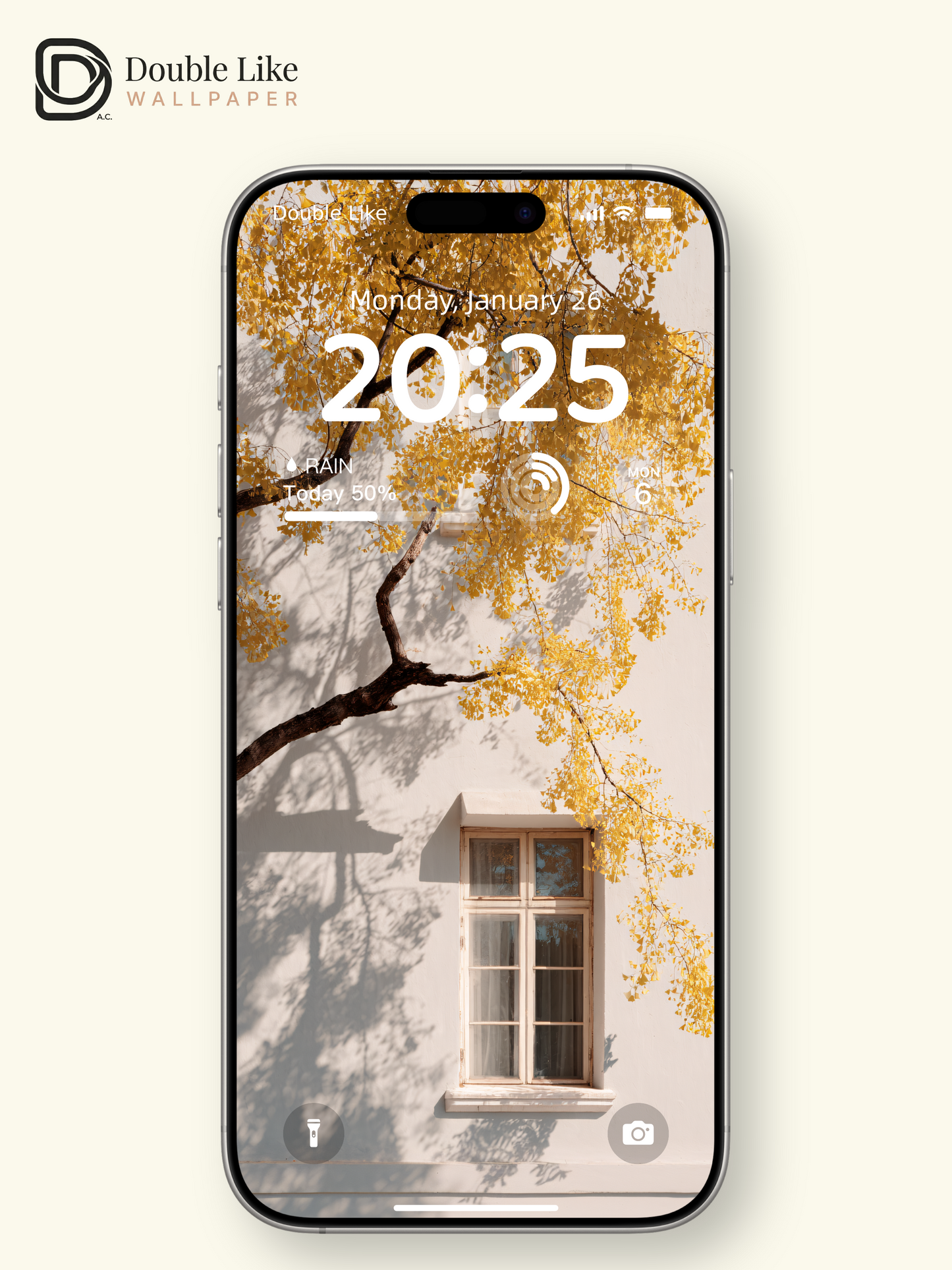 Autumn Ginkgo Tree Yellow Door Window Shadow Cozy Aesthetic Wallpaper Pack [#JJ1221]