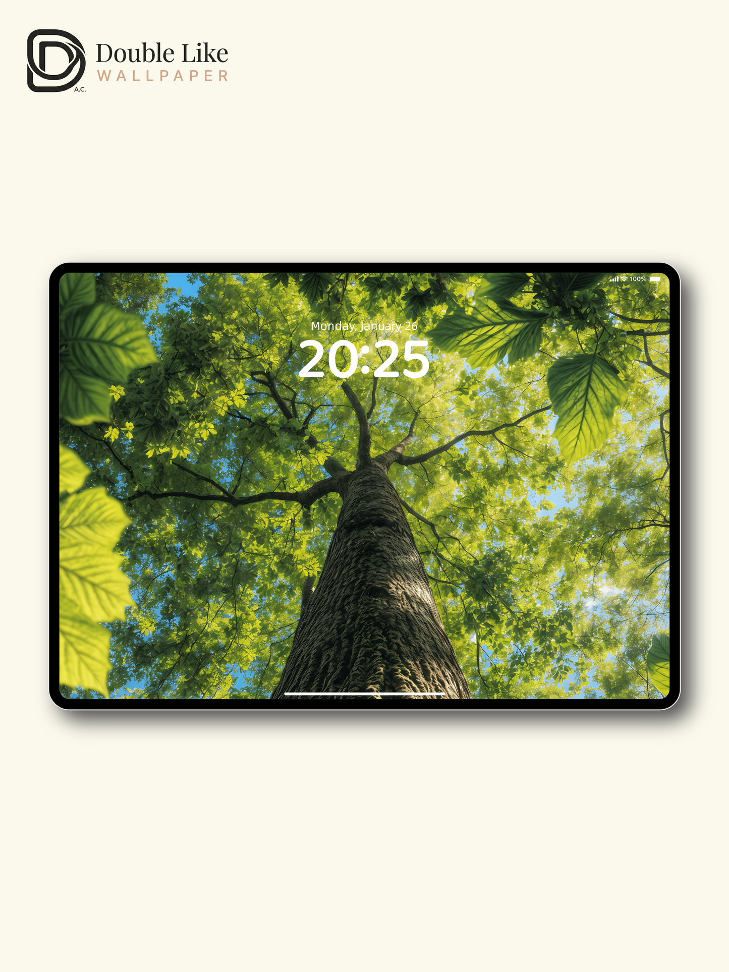 Green Forest Canopy Tree Looking Up Landscape Wallpaper Pack [#ZJY328]