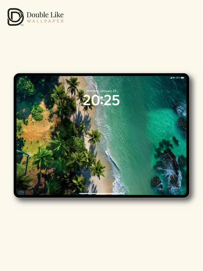 Aerial Tropical Beach Palm Trees Ocean Landscape Wallpaper Pack [#JJ1345]