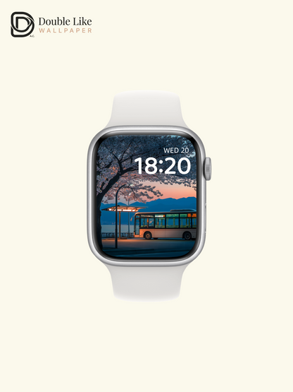 Spring Cherry Blossom Bus Stop Twilight Landscape Wallpaper Pack [#ZJYX0452]
