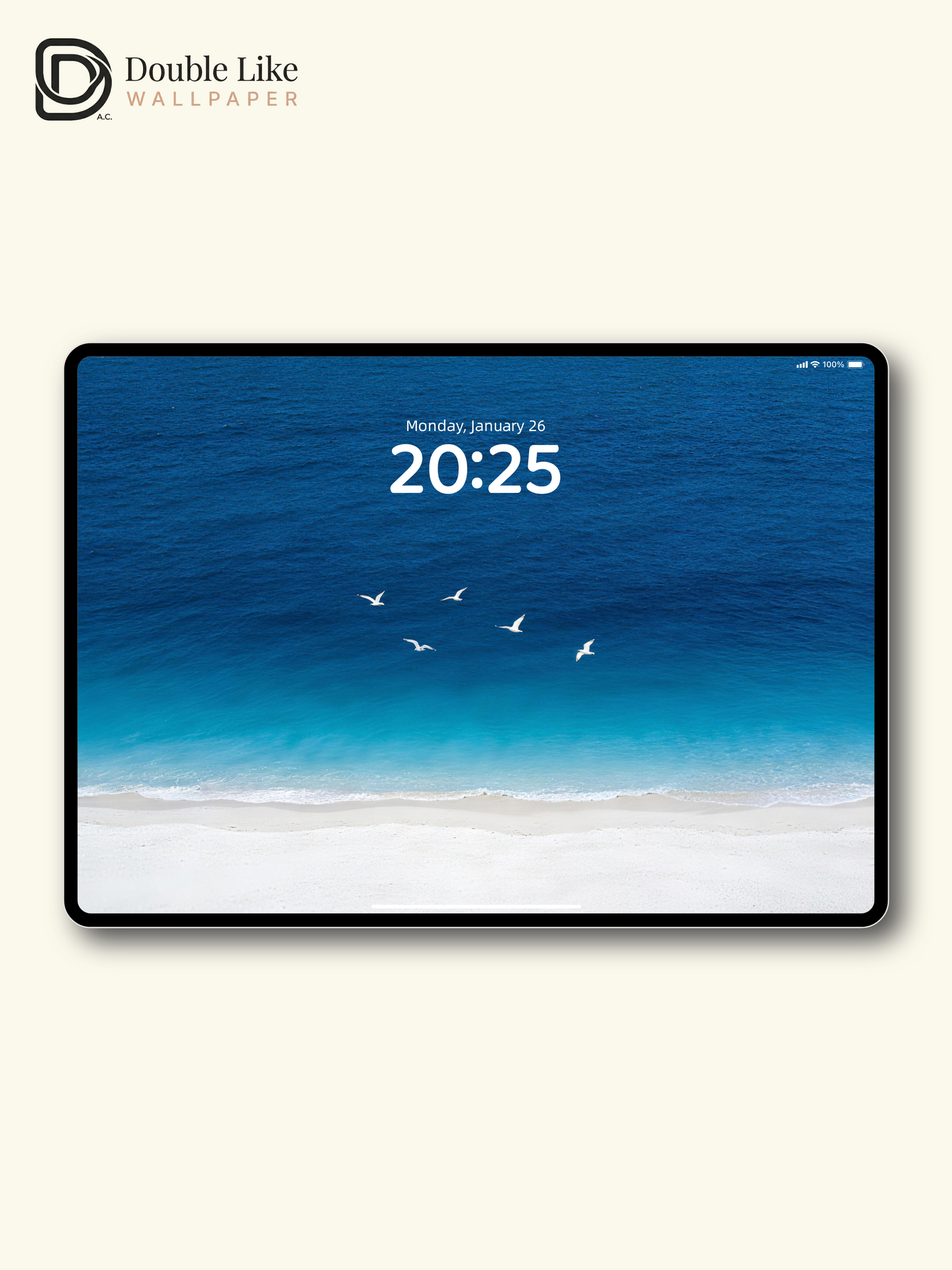 Blue Ocean Seagull Minimal Calming Beach Wallpaper Pack [#LFHL30310]