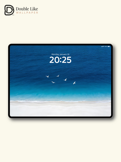 Blue Ocean Seagull Minimal Calming Beach Wallpaper Pack [#LFHL30310]