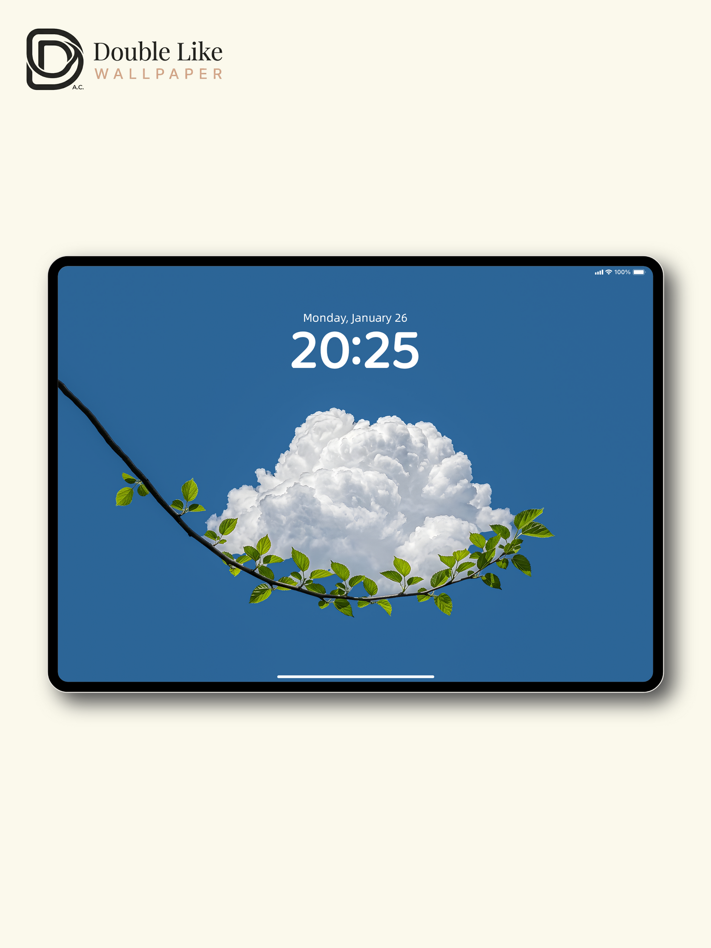 Minimalist Fluffy Cloud Green Leaves Blue Sky Aesthetic Wallpaper Pack [#ZMY531]