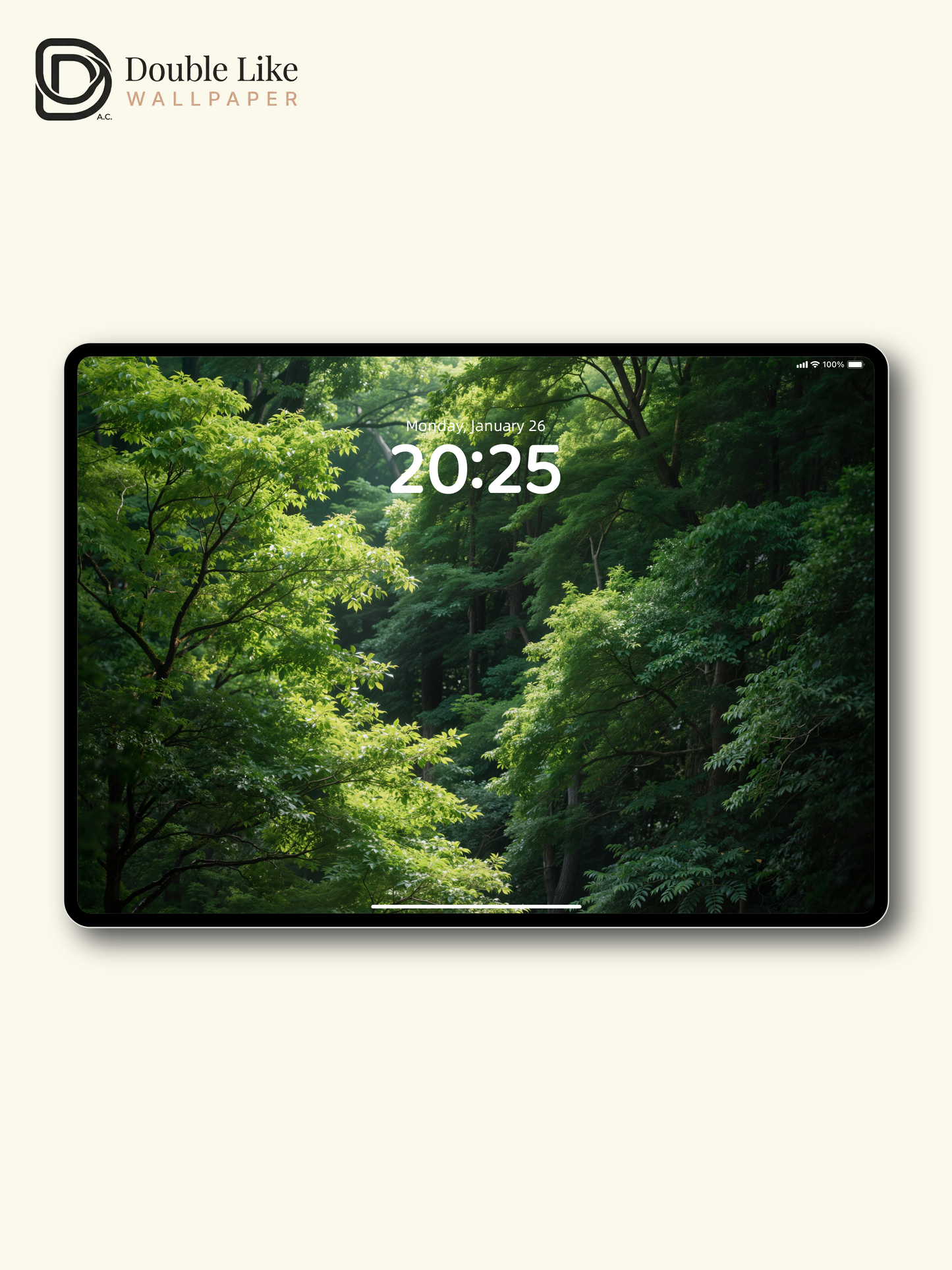 Soft Light Forest Calming Green Nature Wallpaper Pack [#LFHL30311]