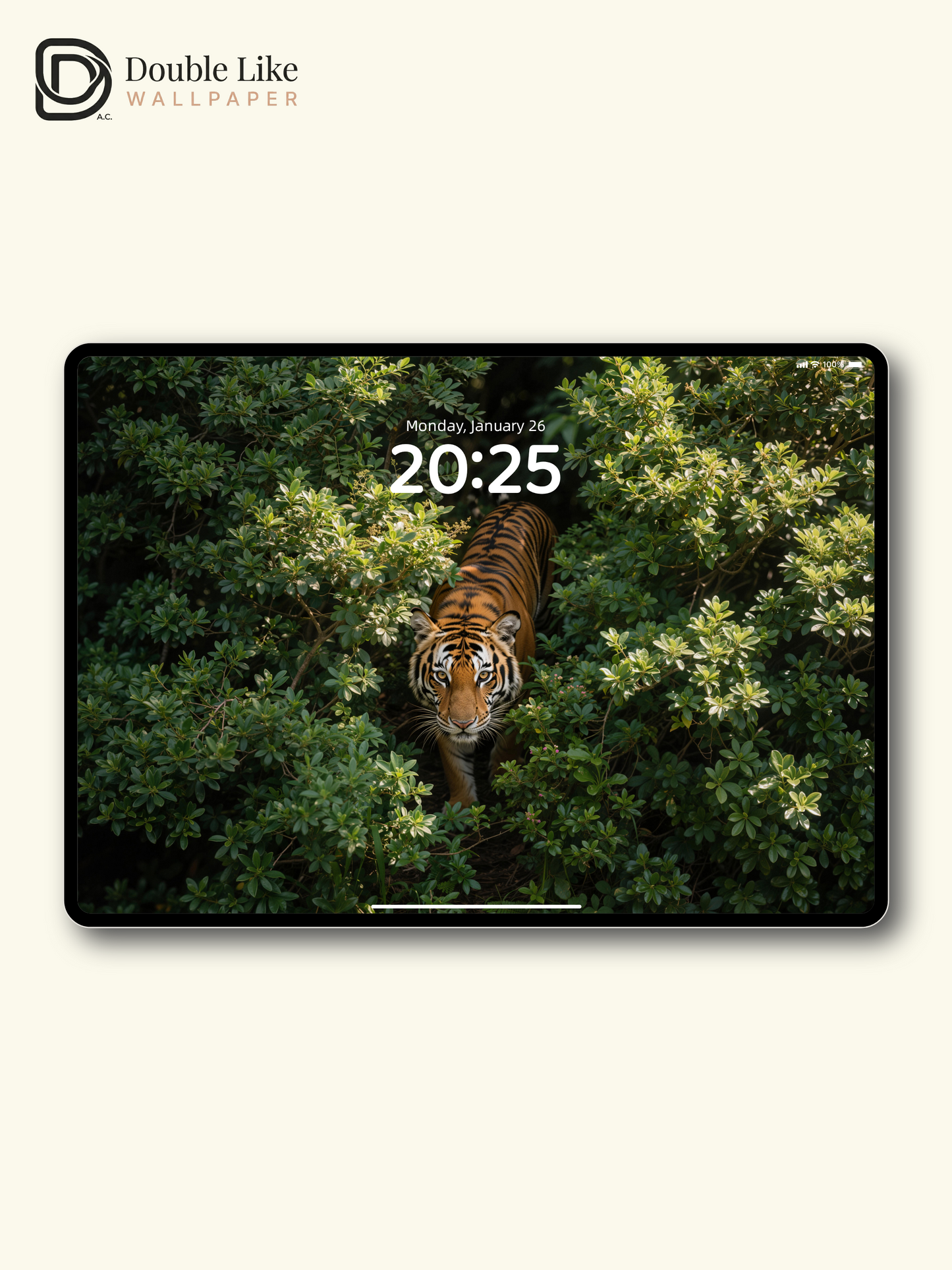 Wild Tiger Jungle Aesthetic Scenic Wallpaper Pack [#LFHL30302]