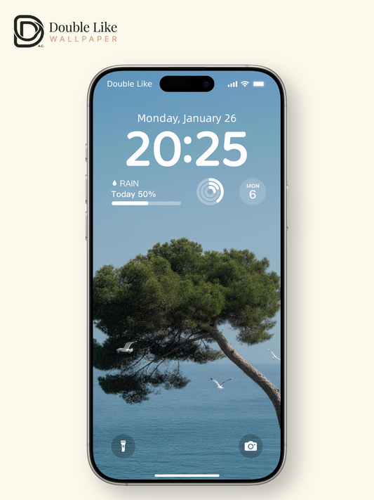 Healing Seascape Wallpaper Pack With Lone Pine Tree & Seagulls Over Blue Ocean [#LFHL30510]