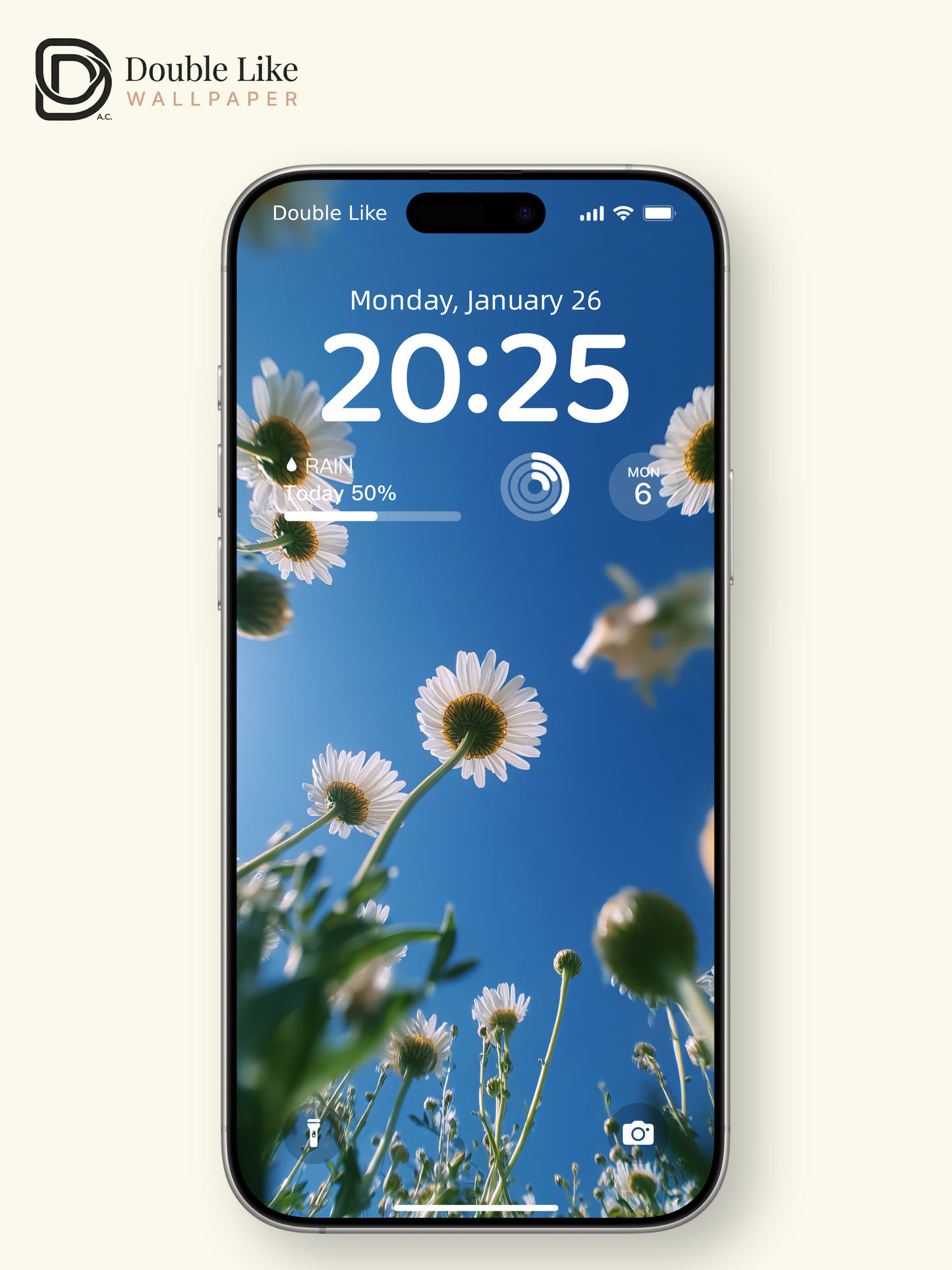 Sunny Blue Sky White Daisy Flower Field Low Angle Aesthetic Wallpaper Pack [#JJ1284]