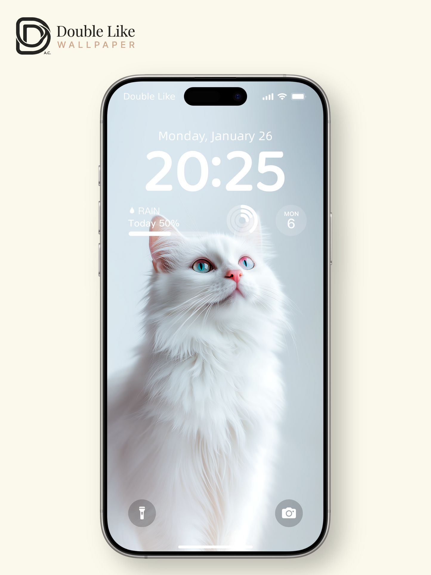 Cute White Cat Soft Aesthetic Wallpaper Pack [#ZJY470]