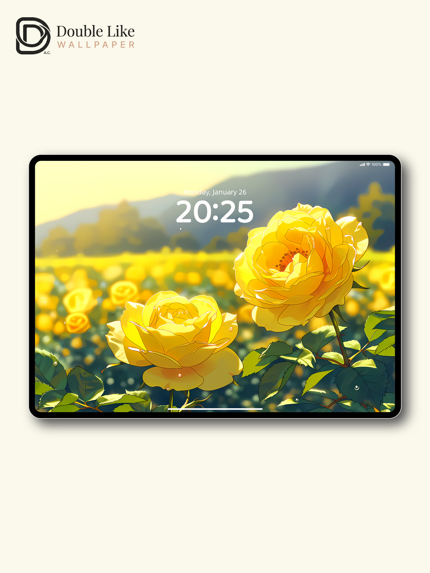 Aesthetic Yellow Rose Flower Field Morning Sunlight Digital Art Wallpaper Pack [#LFHL1030]