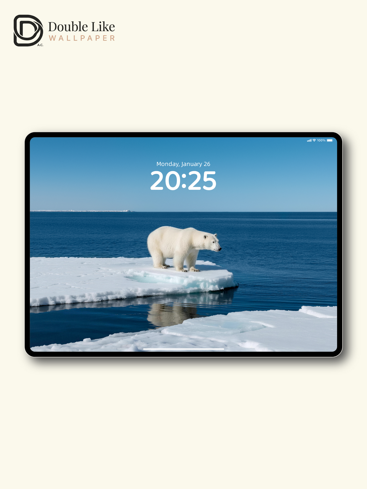 Arctic Polar Bear & Floating Ice Blue Ocean Aesthetic Wallpaper Pack [#JJ230914]