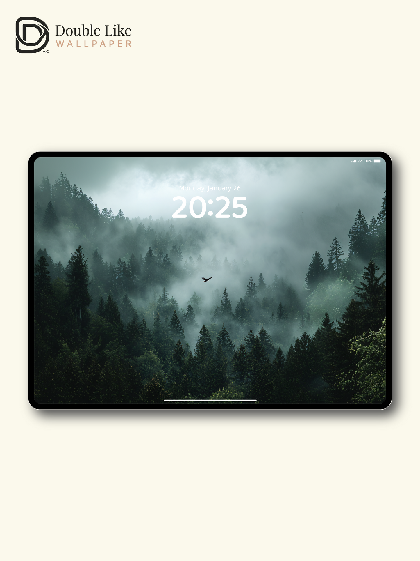 Mystic Foggy Forest and Soaring Eagle Photography Wallpaper Pack [#JJ1206]