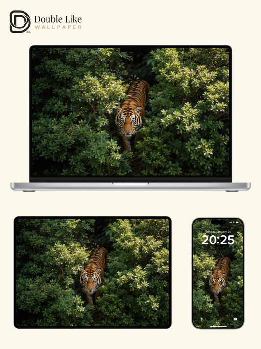 Wild Tiger Jungle Aesthetic Scenic Wallpaper Pack [#LFHL30302]