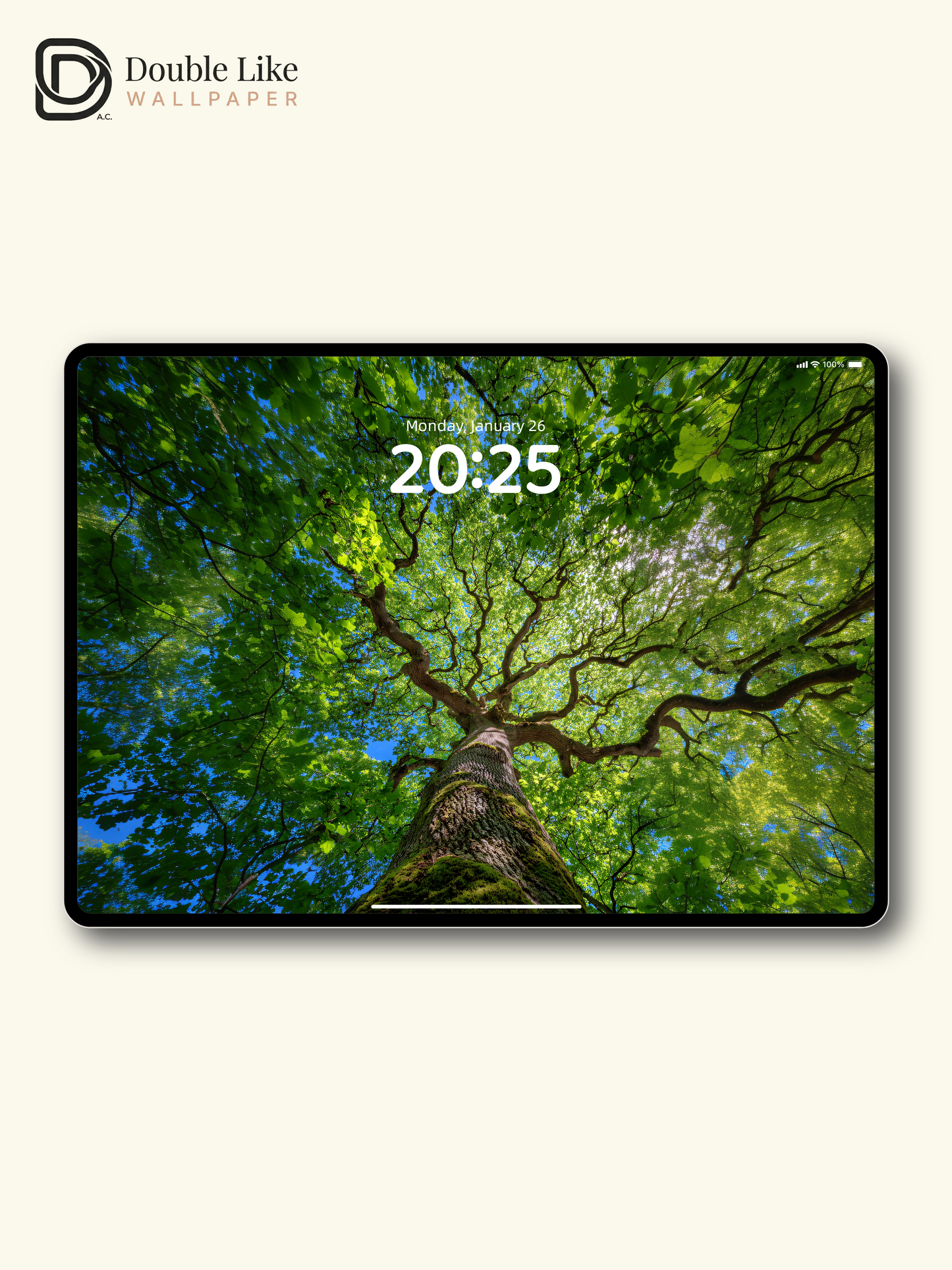 Vibrant Sunlit Forest Tree Canopy Photography Wallpaper Pack [#JJ1210]