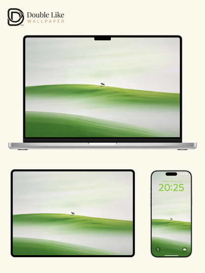 Foggy Green Hill Lone Horse Minimal Healing Scenery Wallpaper Pack [#LFHL30402]
