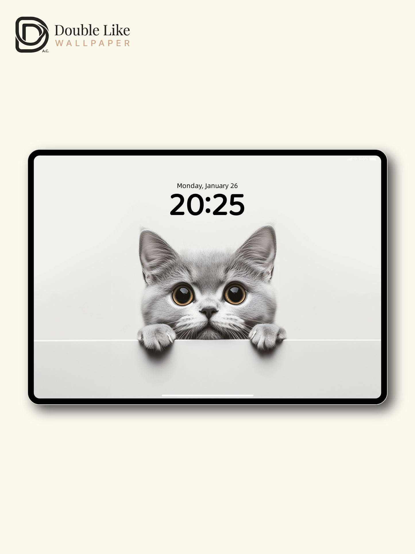 Curious Peeking British Shorthair Cat Minimalist Wallpaper Pack [#JJ20301]