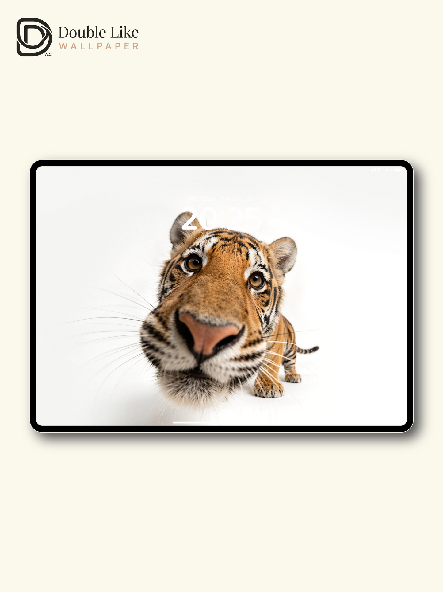 Cute Tiger Close Up Photography Aesthetic Wallpaper Pack [#LFHL30523]