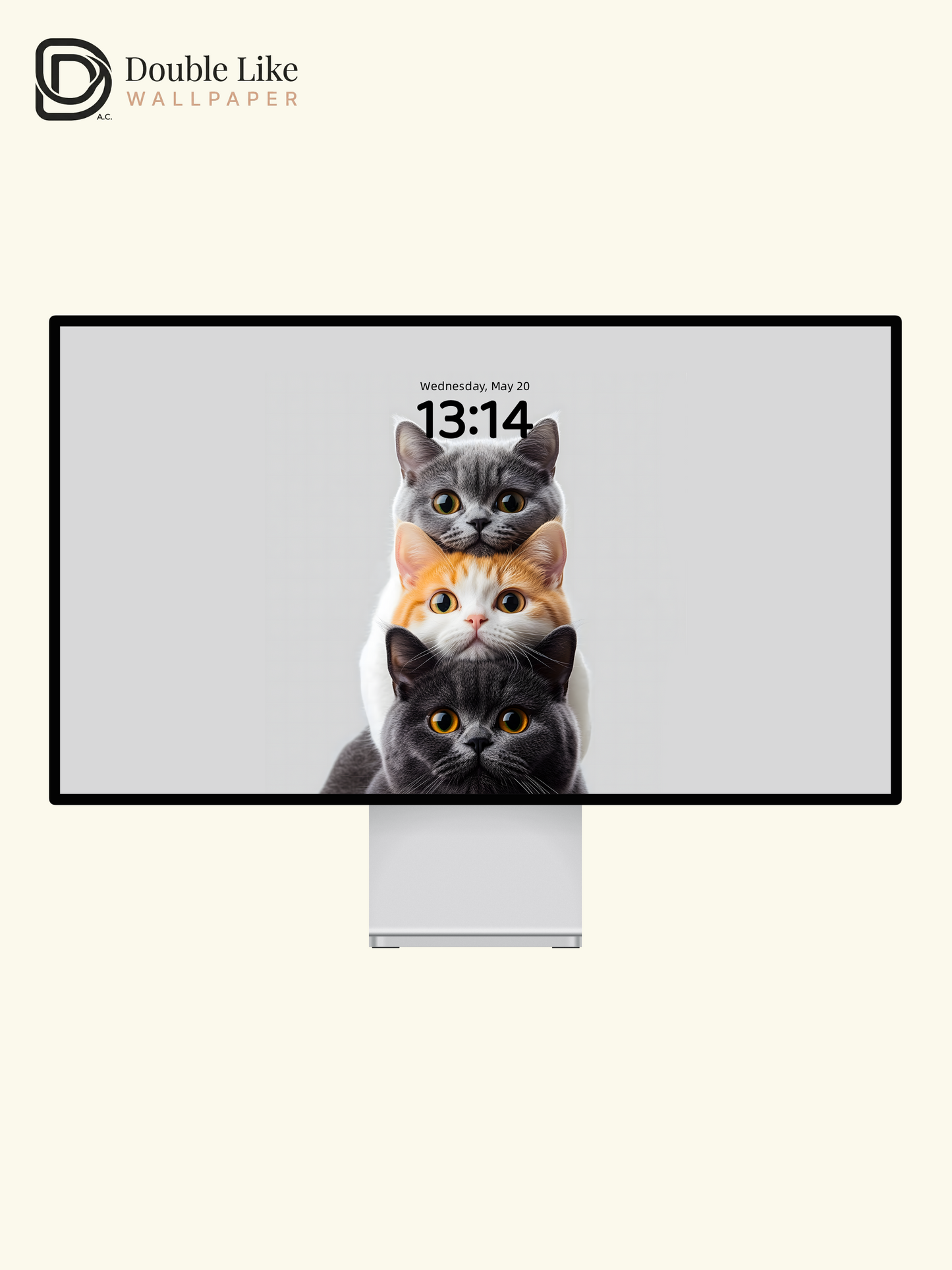 Stacked Kitties Therapy Pack | Cute Triple Cat Dynamic Wallpaper Bundle [#ZMY063]