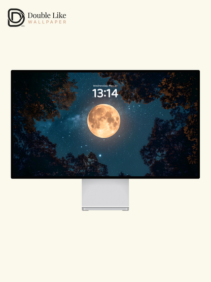 Moonlit Forest Starry Sky Dreamy Nature Wallpaper [#ZJYX0274]