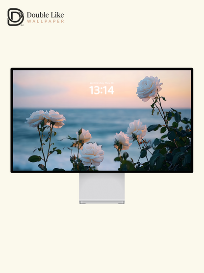 Romantic White Roses Pastel Ocean Sunset Lock Screen Wallpaper Pack [#ZJYX0441]