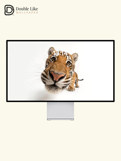 Cute Tiger Close Up Photography Aesthetic Wallpaper Pack [#LFHL30523]