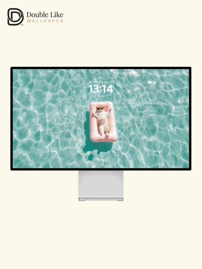 Cute Cat Floating on Pool Ring Summer Aesthetic Wallpaper Pack [#ZJY546]