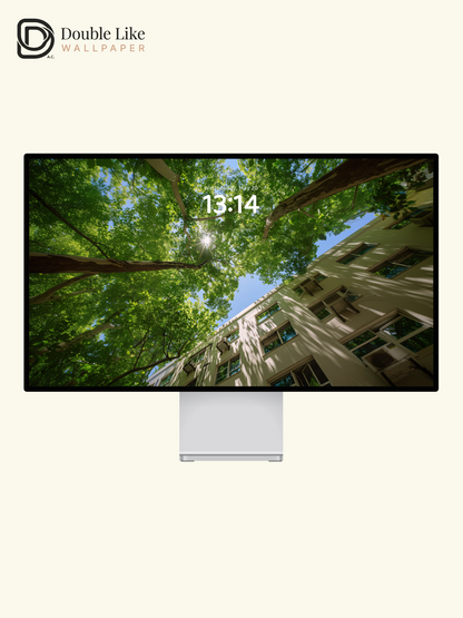 Sunlight Through Trees Summer Fresh Nature Landscape Wallpaper Pack [#JJ1342]
