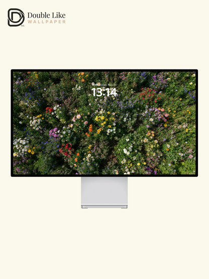 Colorful Wild Daisy Flower Field Healing Landscape Wallpaper Pack [#LFHL30319]