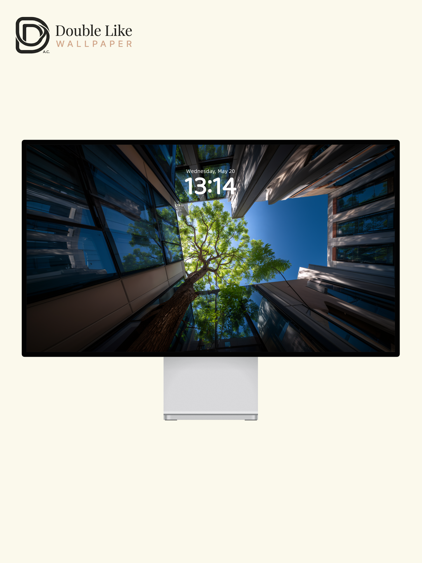 Low Angle City Trees Architecture Aesthetic Nature Wallpaper Pack [#JJ1303]