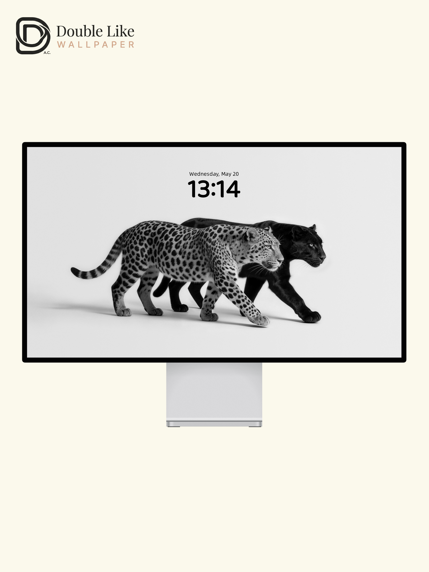 Black & White Two Leopards Minimalist Wild Motivational Wallpaper Pack [#LFHL30424]
