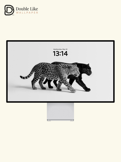 Black & White Two Leopards Minimalist Wild Motivational Wallpaper Pack [#LFHL30424]