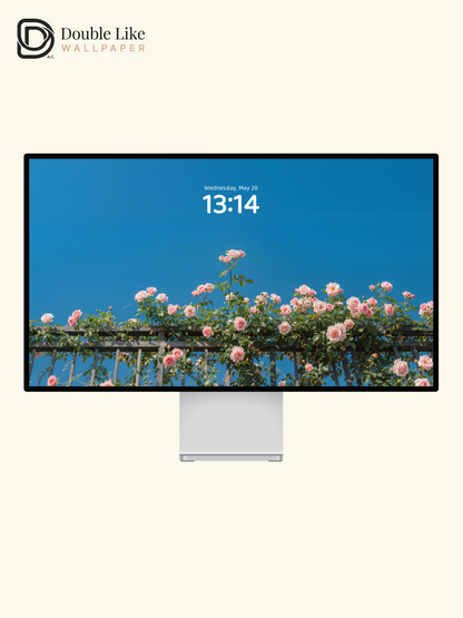 Pink Rose Fence Aesthetic Sky Wallpaper Pack for All Devices [#LFHL30607]