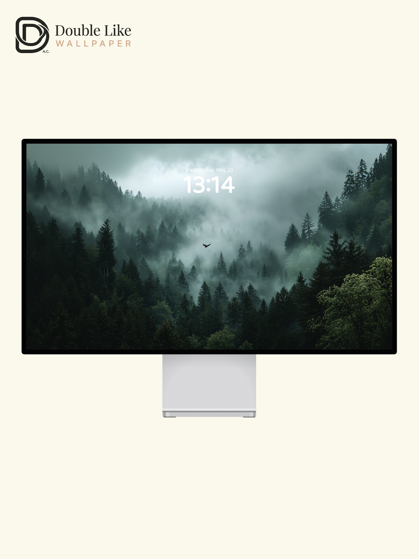 Mystic Foggy Forest and Soaring Eagle Photography Wallpaper Pack [#JJ1206]