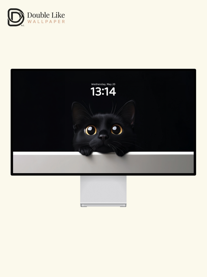 Curious Black Cat Golden Eyes Minimalist Wallpaper Pack [#JJ20302]