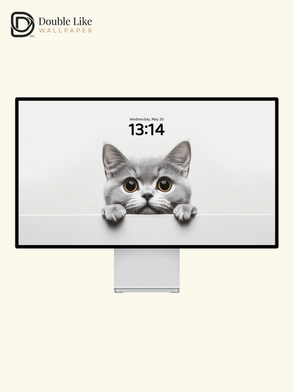 Curious Peeking British Shorthair Cat Minimalist Wallpaper Pack [#JJ20301]