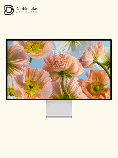 Aesthetic Pastel Peach Poppy Flowers Cinematic Sky Blue Wallpaper Pack [#ZMY494]