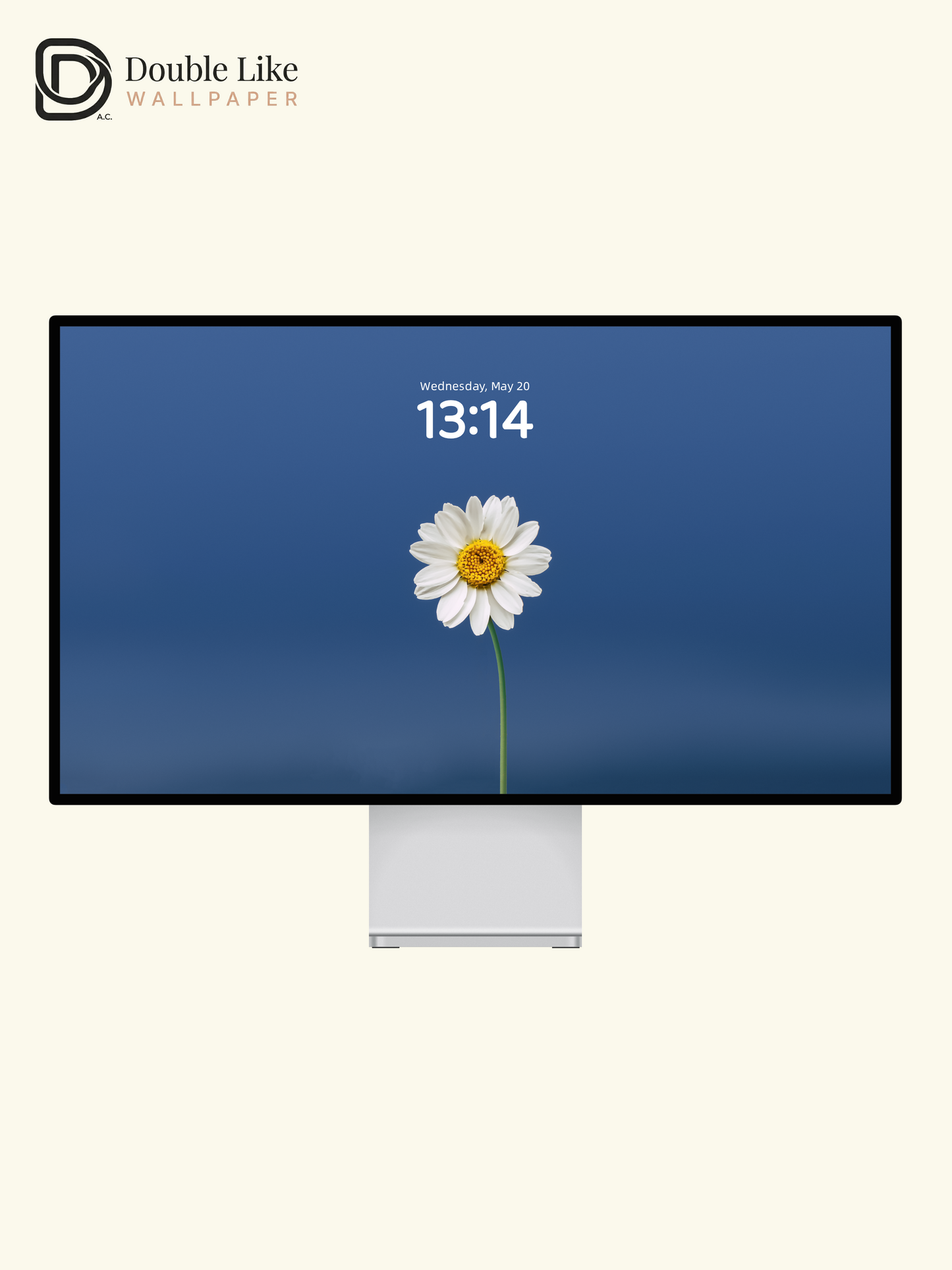 Minimal Daisy On Blue Calming Full Wallpaper Set [#ZMY457]