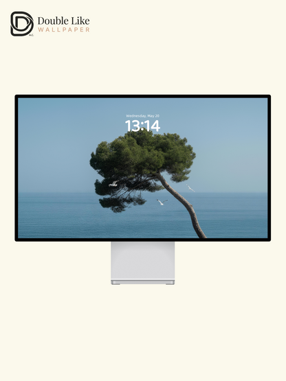 Healing Seascape Wallpaper Pack With Lone Pine Tree & Seagulls Over Blue Ocean [#LFHL30510]