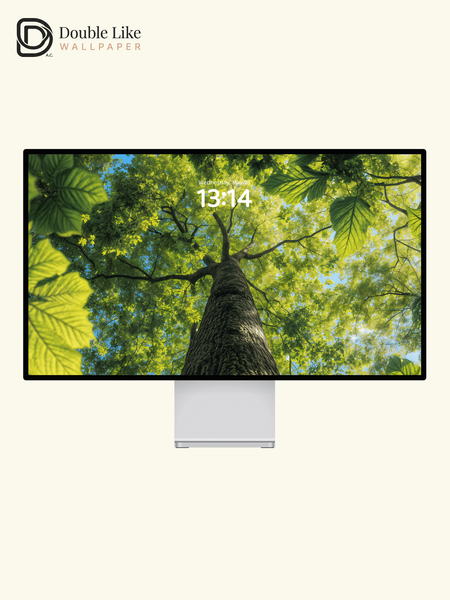 Green Forest Canopy Tree Looking Up Landscape Wallpaper Pack [#ZJY328]