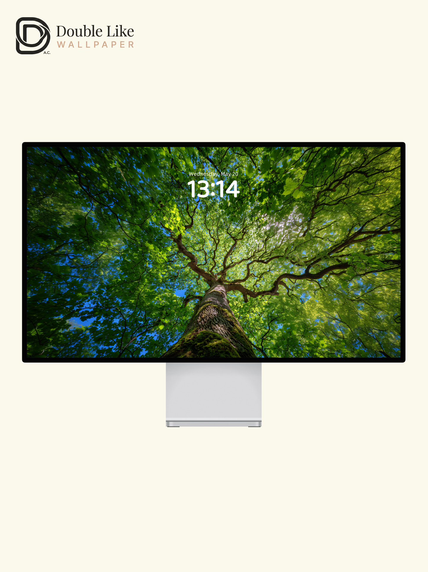 Vibrant Sunlit Forest Tree Canopy Photography Wallpaper Pack [#JJ1210]