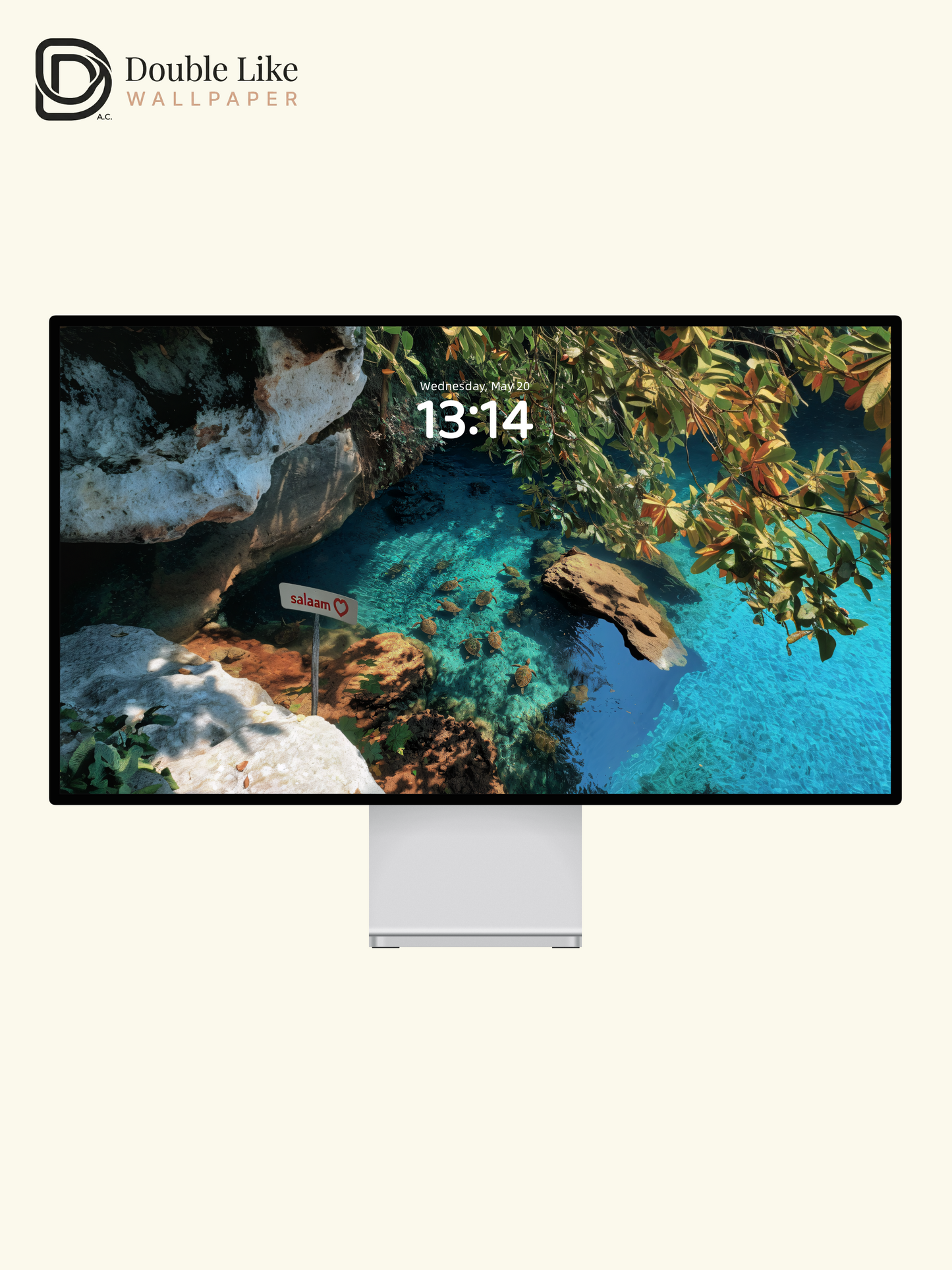 Crystal Lagoon Sea Turtles Paradise Coastal Wallpaper Pack [#JJ1318]