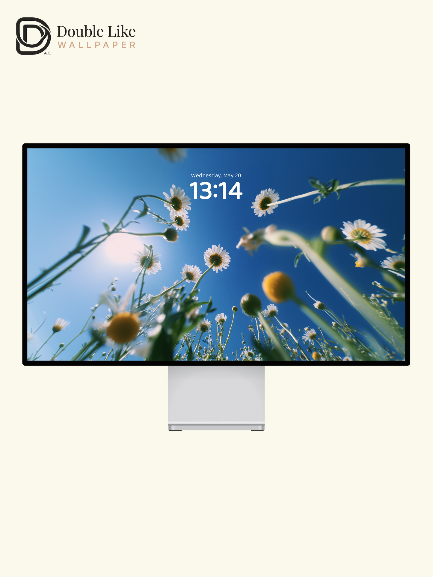 Sunny Blue Sky White Daisy Flower Field Low Angle Aesthetic Wallpaper Pack [#JJ1284]