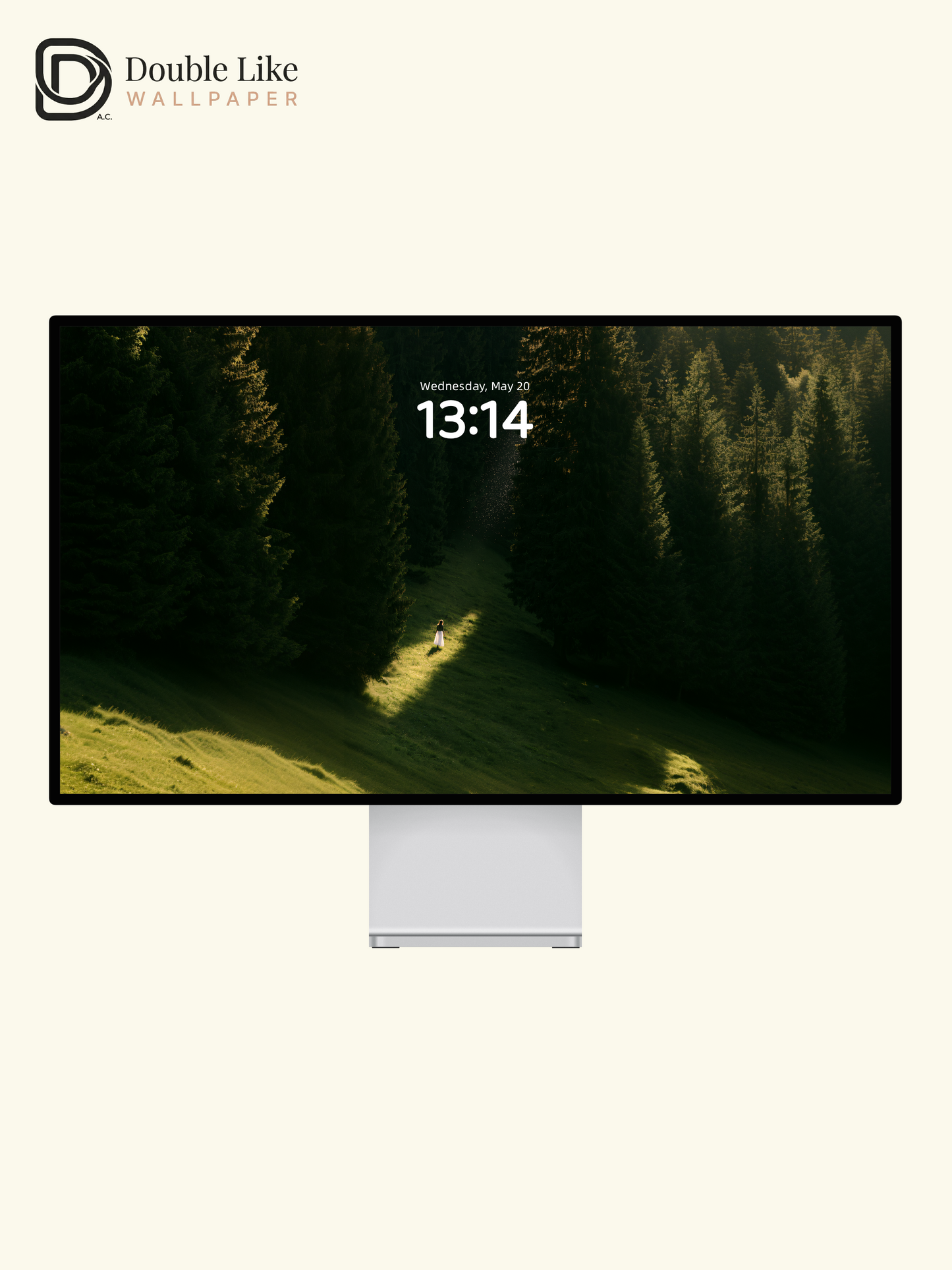 Sunlit Forest Meadow Solitude Aesthetic Wallpaper Pack [#JJ1401]