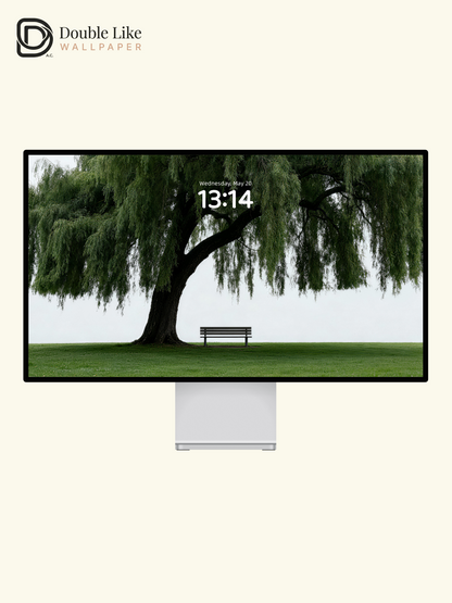 "The Empty Bench" Lonely Willow Tree Wallpaper Set [#LFHL30511]