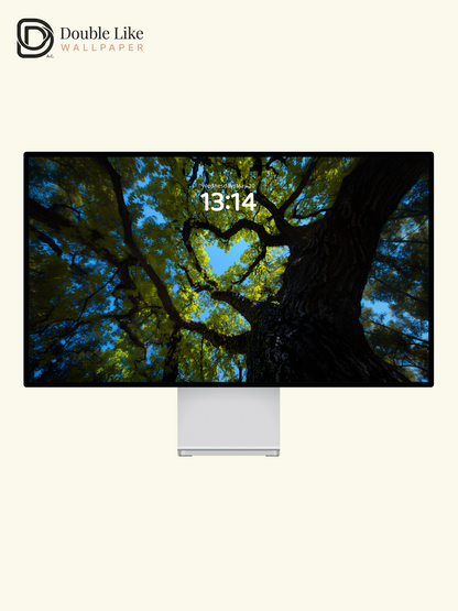 Heart Shaped Tree Canopy Nature Aesthetic Wallpaper Pack [#JJ1362]