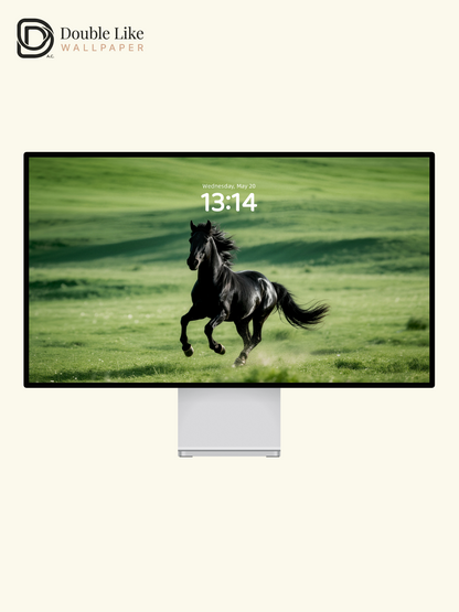 Running Black Horse Grassland Motivational Wallpaper Pack [#LFHL30207]