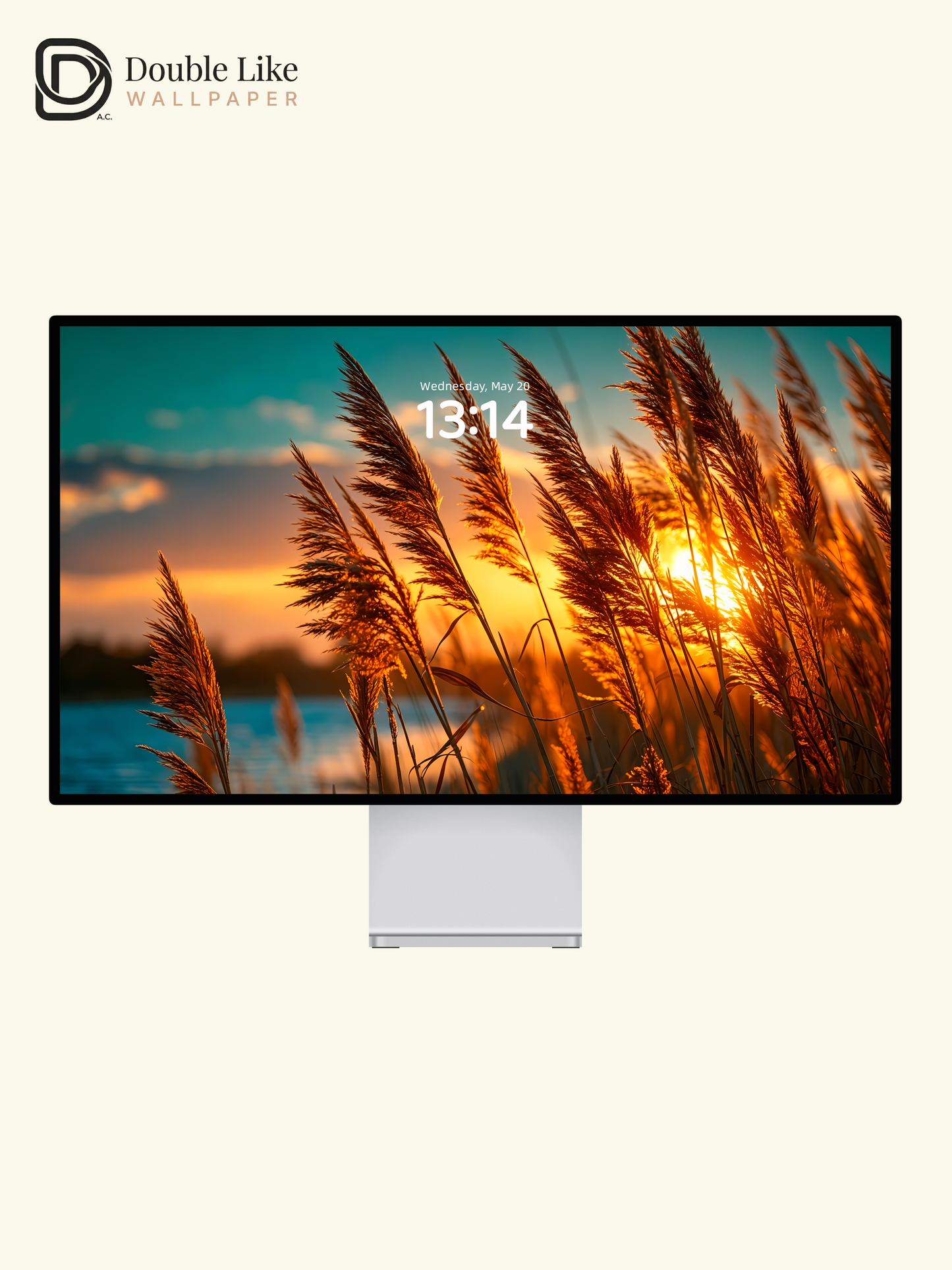 Aesthetic Reed Grass Golden Sunset Lake Landscape Digital Art Wallpaper Pack [#LFHL1027]
