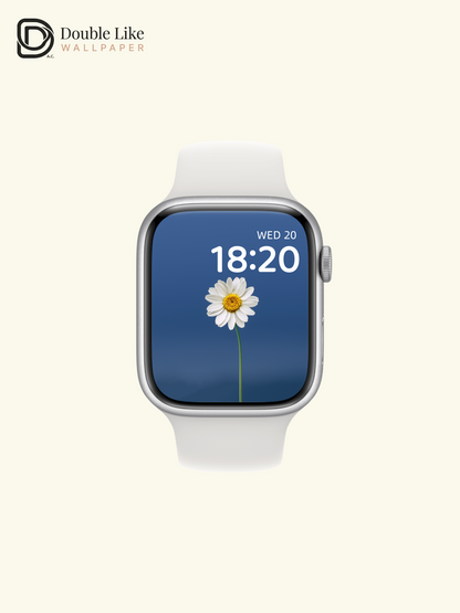 Minimal Daisy On Blue Calming Full Wallpaper Set [#ZMY457]