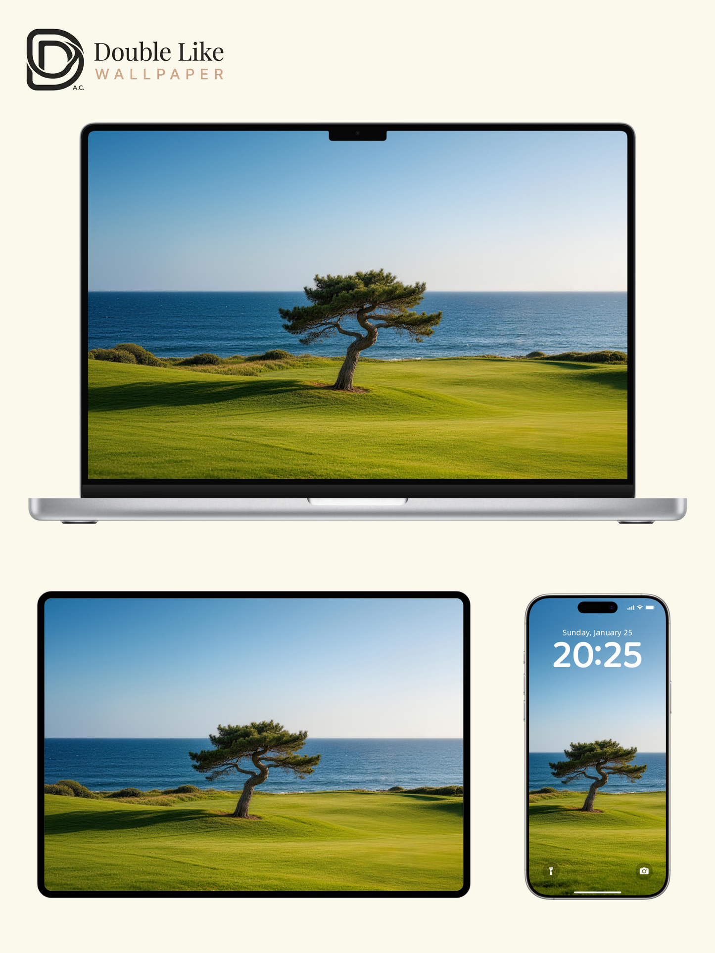 Coastal Lone Pine Blue Sea Healing Inspirational Scenery Wallpaper Pack [#LFHL30325]